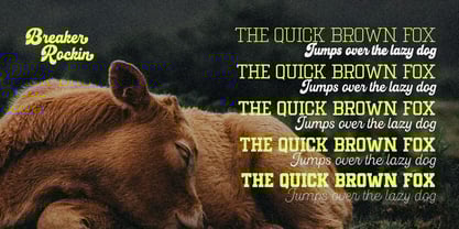 Breaker Rockin Font Poster 3