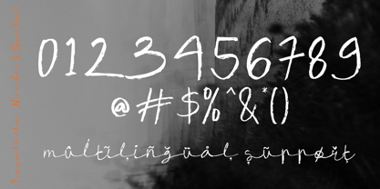 Loyalneha Font Poster 4