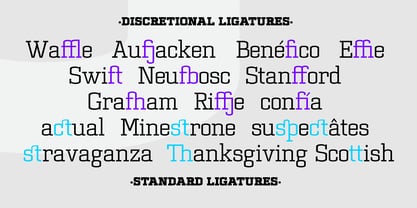 Dura Slab Font Poster 10