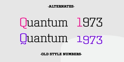 Dura Slab Font Poster 9
