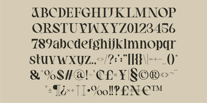 Vasio Font Poster 6