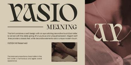 Vasio Font Poster 2