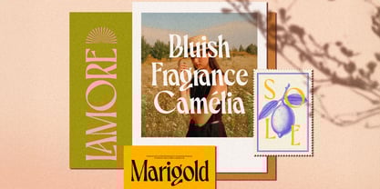 CCS Belvare Font Poster 10