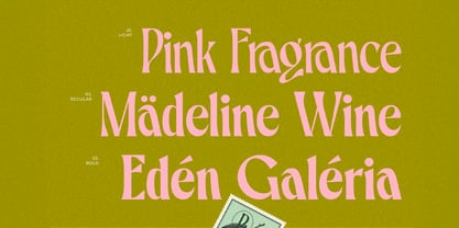 CCS Belvare Font Poster 9