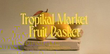 CCS Belvare Font Poster 7