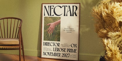 CCS Belvare Font Poster 8