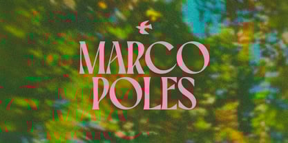 CCS Belvare Font Poster 3