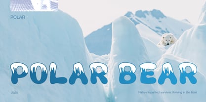 Polarpuff Font Poster 4