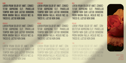 Muckley Font Poster 8