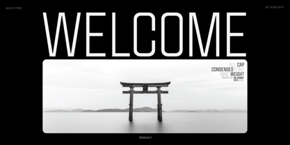 Muckley Font Poster 2