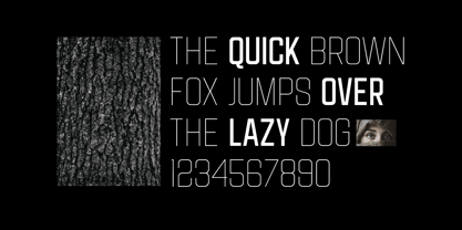 Muckley Font Poster 6