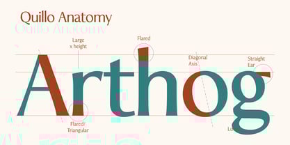 Quillo Font Poster 6