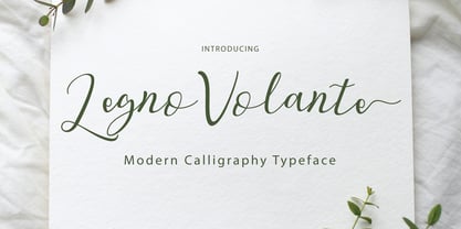 Legno Volante Script Font Poster 1