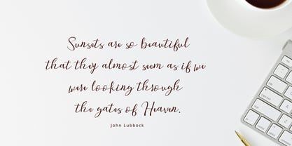 Legno Volante Script Font Poster 2