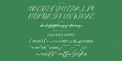 Bombyes Shigter Font Poster 14