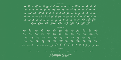 Bombyes Shigter Font Poster 15