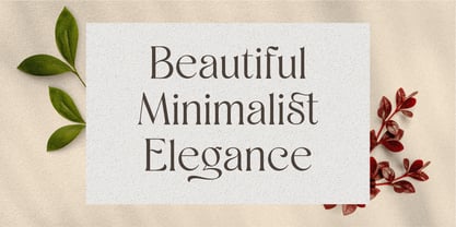 Shaena Font Poster 6