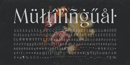 Shaena Font Poster 13