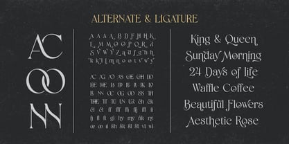 Shaena Font Poster 12