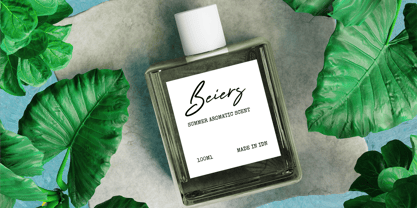 Anestesie Font Poster 5