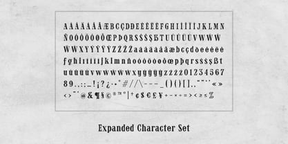 Authora Font Poster 5