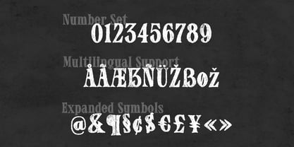 Authora Font Poster 6