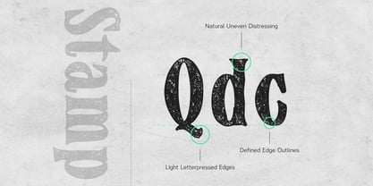 Authora Font Poster 11