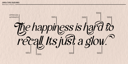 Braunch Font Poster 5