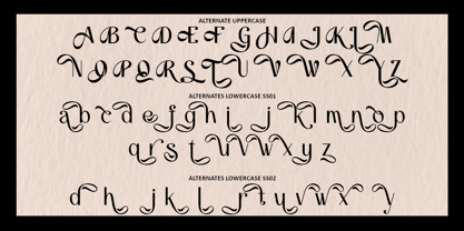 Braunch Font Poster 13