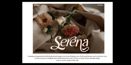 Braunch Font Poster 7