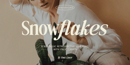 Snowflakes Font Poster 1