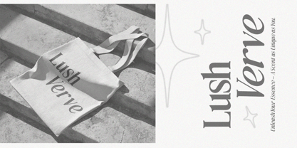 Snowflakes Font Poster 7