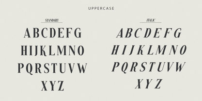 Snowflakes Font Poster 11