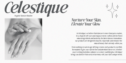 Snowflakes Font Poster 2