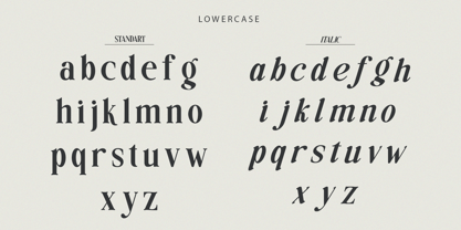 Snowflakes Font Poster 12