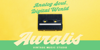 London Script Font Poster 8