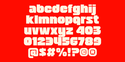403 Doshi Font Poster 5