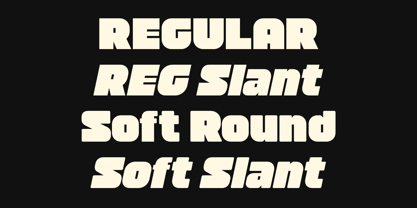 403 Doshi Font Poster 10