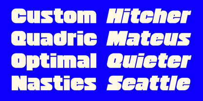 403 Doshi Font Poster 6