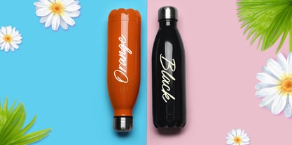 Ganola Brush Font Poster 8