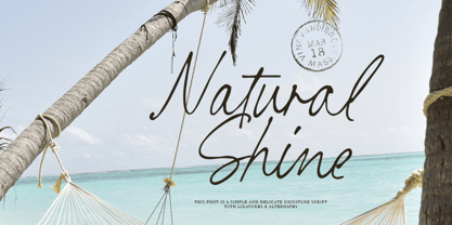Tourist Partner Font Poster 5