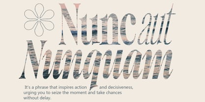 Writers Mark Display Font Poster 2