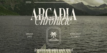 Writers Mark Display Font Poster 13