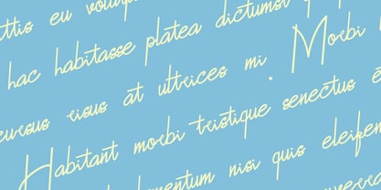 Bluemono Font Poster 9