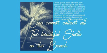 Bluemono Font Poster 2