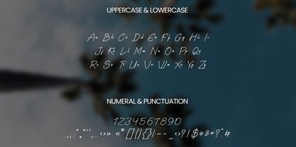Bluemono Font Poster 10