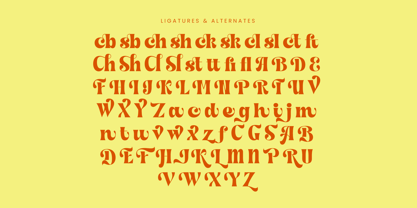 Shyne Roska Font Poster 14