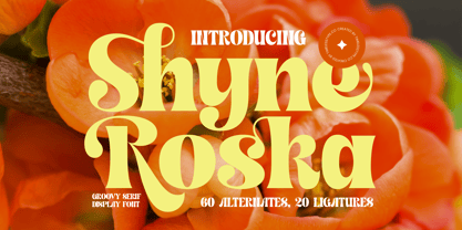 Shyne Roska Font Poster 1