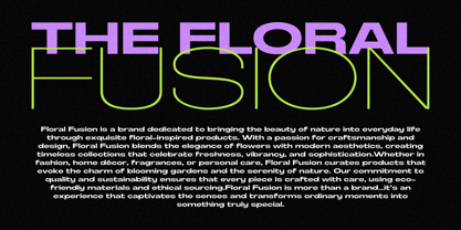 Fergie Font Poster 4