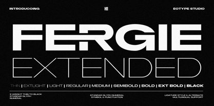 Fergie Font Poster 1